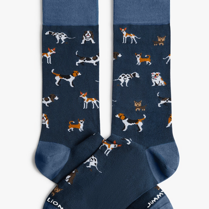 JIMMY LION Motivsocken