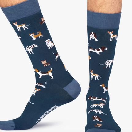 JIMMY LION Motivsocken