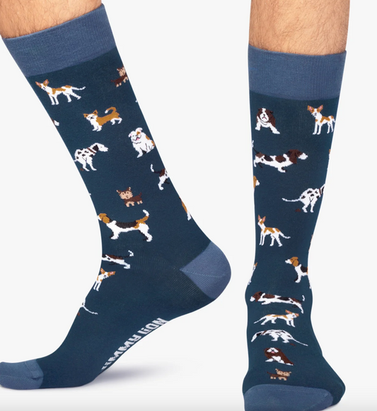 JIMMY LION Motivsocken