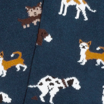 JIMMY LION Motivsocken