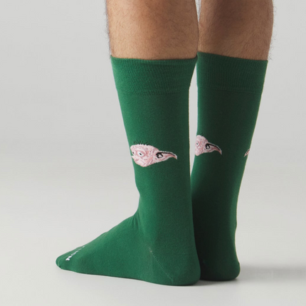 JIMMY LION HARRY POTTER DOBBY SOCKS