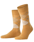 spectra yellow