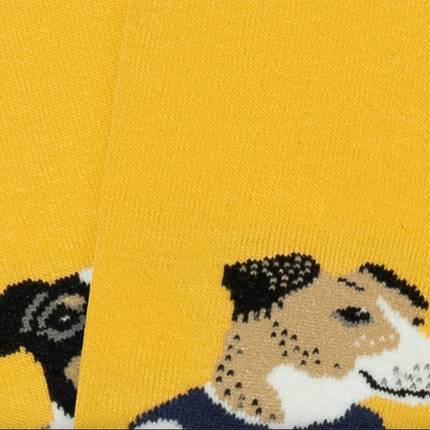 JIMMY LION Motivsocken