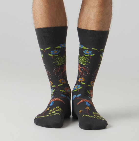 JIMMY LION HARRY POTTER HERBOLOGY SOCKS
